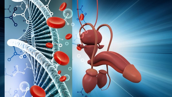 早泄？射精过快？