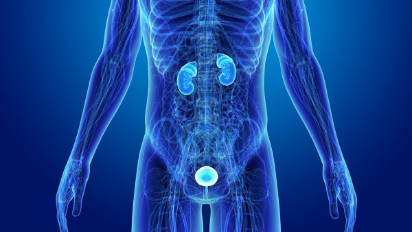 原发性不射精的因素