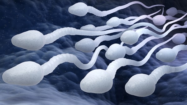 畸形精子能做人工授精吗