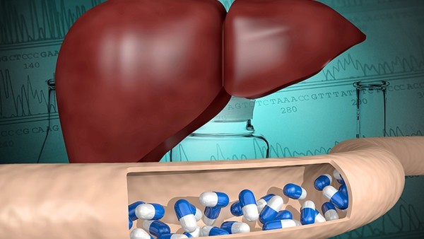 腦血康膠囊說明書有什么內(nèi)容呢 腦血康膠囊的用法用量