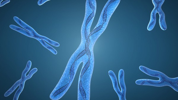 精子检查看染色体异常