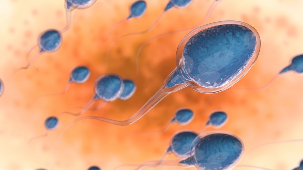精子畸形异常为啥能怀孕