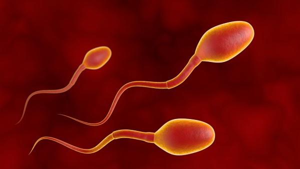 精子成活率低精子畸形