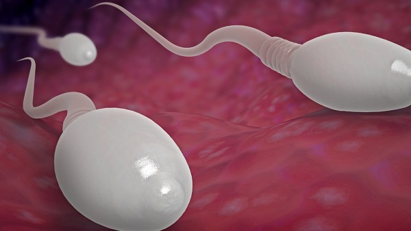 精子常规可以查出精子畸形吗