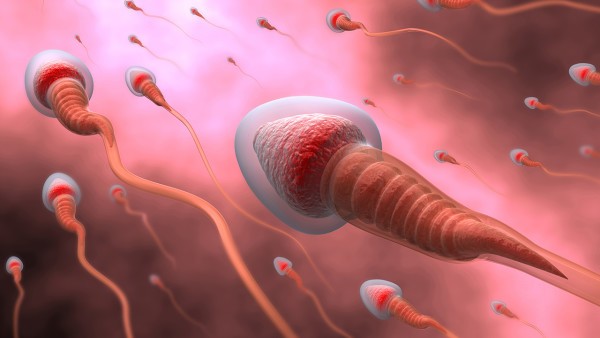 精子检测精子不液化