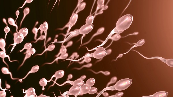 精子活动率低精子畸形