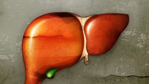 脂肪肝患者能吃复方益肝灵片吗  复方益肝灵片的主要功效