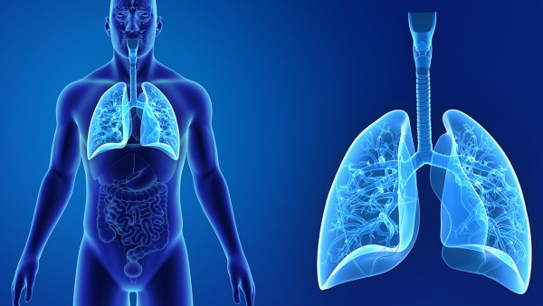 肺结核丸的效果怎么样 肺结核丸的作用是什么