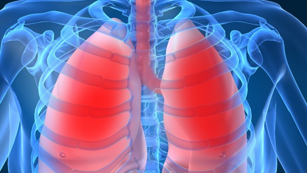 燥邪犯肺吃什么中成药 急支糖浆能不能治疗燥邪犯肺