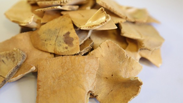 大马蓼的功效与作用,大马蓼的用法用量与用药禁忌