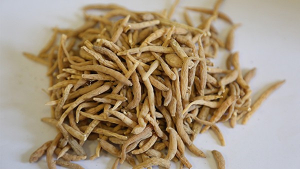 太子参的功效与作用,太子参的用法用量与用药禁忌