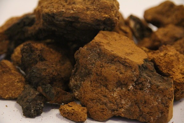 大石韦的功效与作用,大石韦的用法用量与用药禁忌