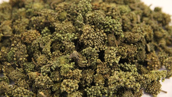 景天三七的功效与作用,景天三七的用法用量与用药禁忌