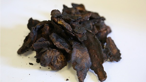 地黄的功效与作用,地黄的用法用量与用药禁忌