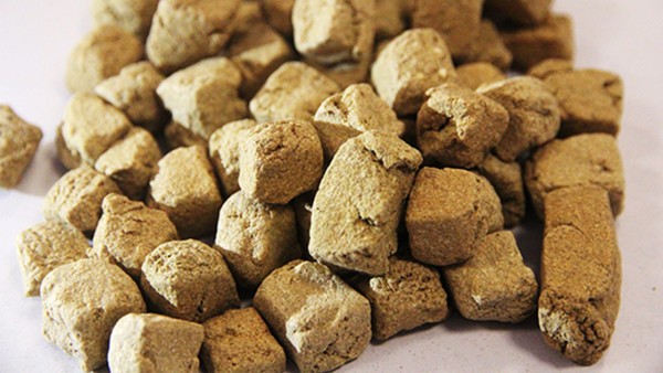 神曲的功效与作用,神曲的用法用量与用药禁忌