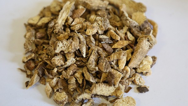 南沙参的功效与作用,南沙参的用法用量与用药禁忌