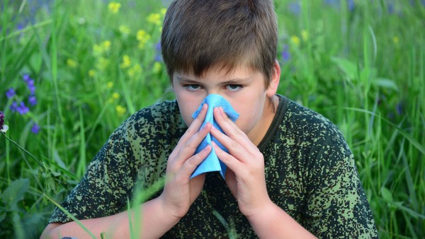 各色鼻涕透露什么信号？流鼻涕应该使用哪些药物治疗
