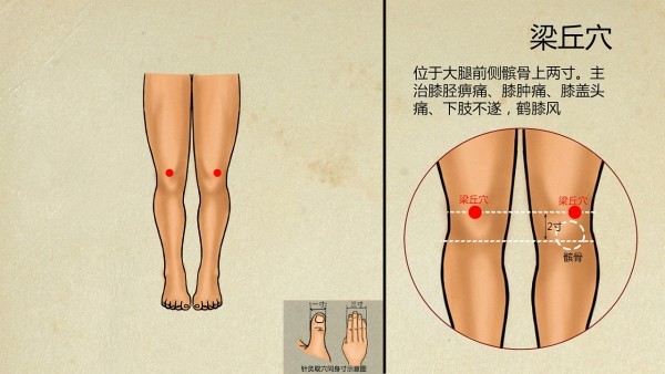 中医预防甲流8种常见药物  如何预防 甲流