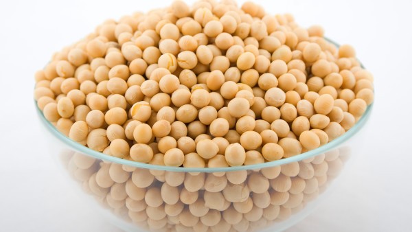 黄豆浆的功效作用 黄豆浆营养价值有哪些