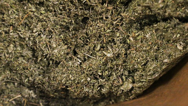 茵陈是晒干好还是阴干好  藏茵陈片效果好吗