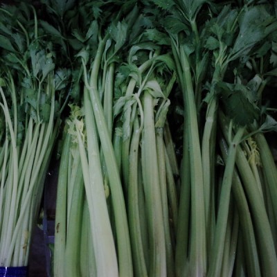芹菜籽泡水喝的功效与作用 芹菜籽营养价值有哪些
