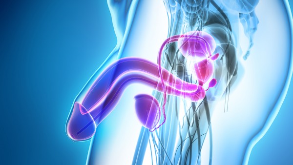 龙金通淋胶囊用于前列腺增生的用量是怎样呢？