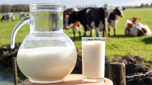 喝牛奶拉肚子喝蒙脱石散可以吗 喝牛奶就拉稀怎么用药