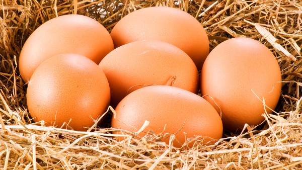 吃了鸡蛋可以吃感冒药吗?感冒症状严重如何用药？
