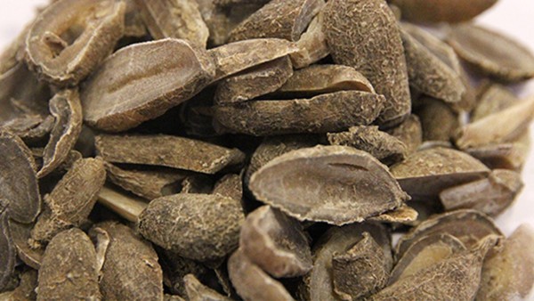 郁金银屑片效果好吗？
