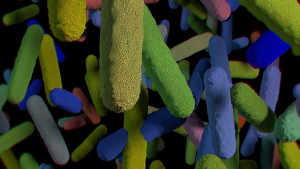 什么是抗病毒药物 抗病毒的西药有哪些药