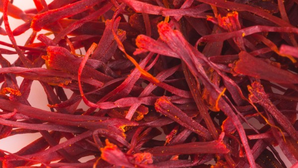 教你联用抗生素 联合抗生素是什么药物