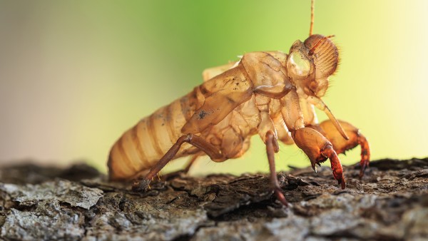 药物对宝宝的影响 孕期根管治疗的药物对宝宝有影响吗
