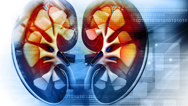 阿托伐他汀降脂又治肾 吃了5年阿托伐他汀