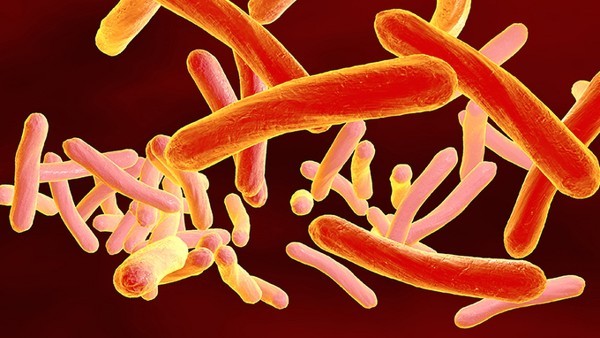 杀病毒最快最强的中药是什么？抗病毒最快的中药就这几种