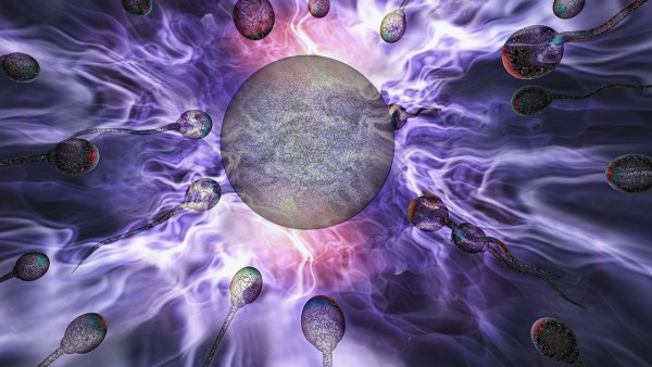 什么是男性不育症? 男性不育有什么特征