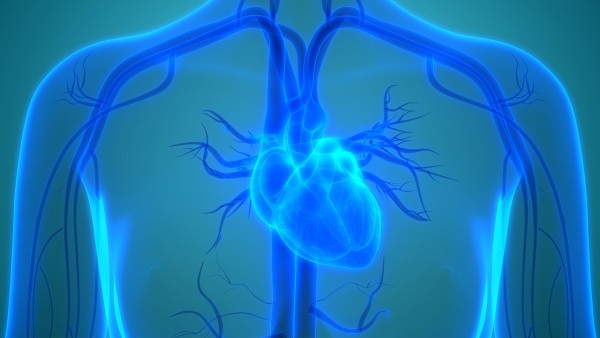 脑心通胶囊对心血管堵塞治疗效果好吗？