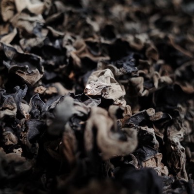 吃多久黑木耳治疗胆结石,黑木耳可溶解尿石症患者应常吃