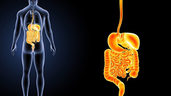 服用肠康片效果好吗 肠康片有什么功效和作用