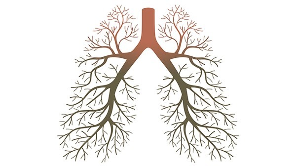肺癌多发转移怎么治疗最好 靶向药盐酸厄洛替尼片效果好吗