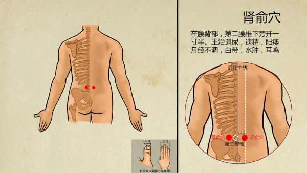 中医汤药补肾得多久,艾灸肾俞穴可补肾壮阳治疗肾气不足