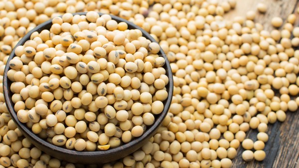 吃奥利司他后多久排油,吃素食瘦身法·排毒法