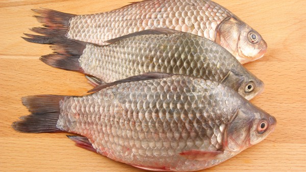 四君子汤煎多久,四君子陈皮鲫鱼汤