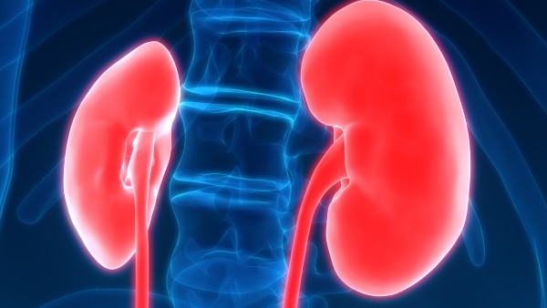 肾病脸肿能活多久,慢性肾脏疾病能活多久?不能一概而论