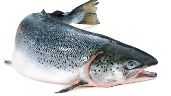 金爾力鮭魚降鈣素噴鼻劑怎么樣,如何使用鮭魚降鈣素鼻噴劑?