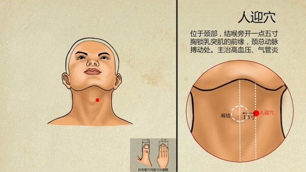 怎么樣熟背穴位,按摩背部穴位可緩解背部酸痛?