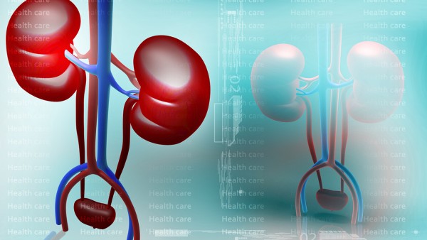 芡实的作用 芡实现代应用方法有什么