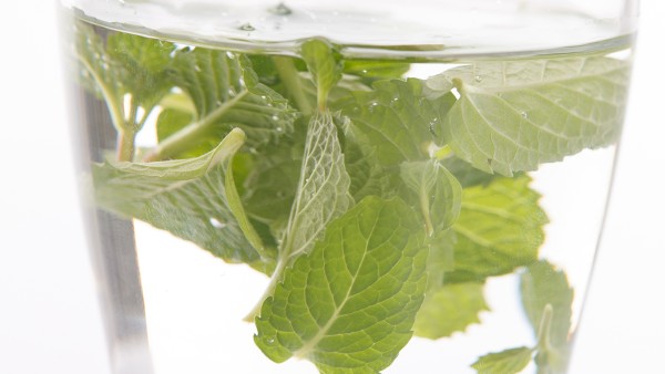 薄荷泡水喝的功效与禁忌 薄荷现代应用方法有什么