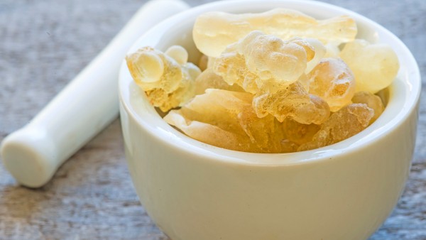 乳香的功效与作用 乳香现代应用方法有什么