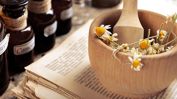 菊花的功效与作用 菊花现代应用方法有什么