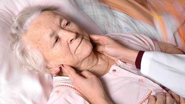 耙耙柑的功效与作用 耙耙柑营养价值有哪些